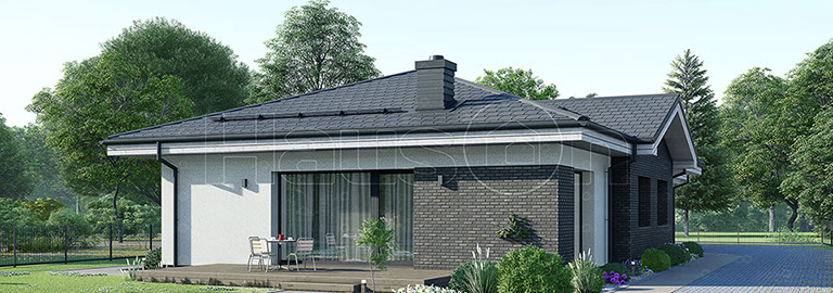 Kartotinis namo projektas, architektai, individualus, architektas, www.hauson.lt, vizualizacijos, vizualizacija, vieno aukšto namas